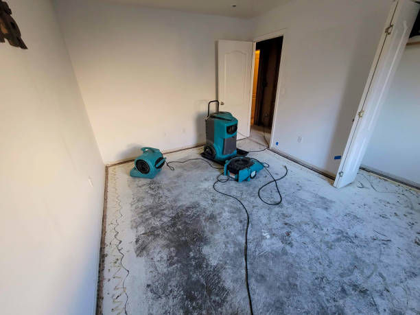 Trusted Christiana, TN Water damage restoration Experts