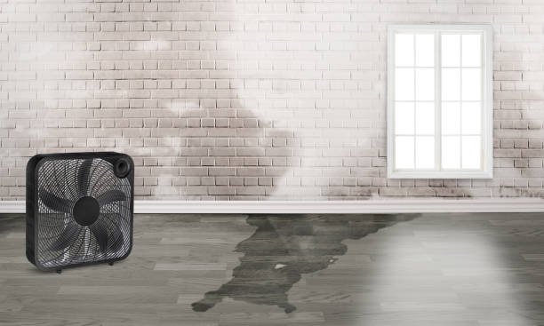 Best 24-hour water damage restoration  in Christiana, TN