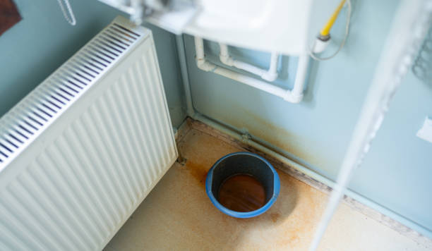 Best Water damage restoration near me  in Christiana, TN