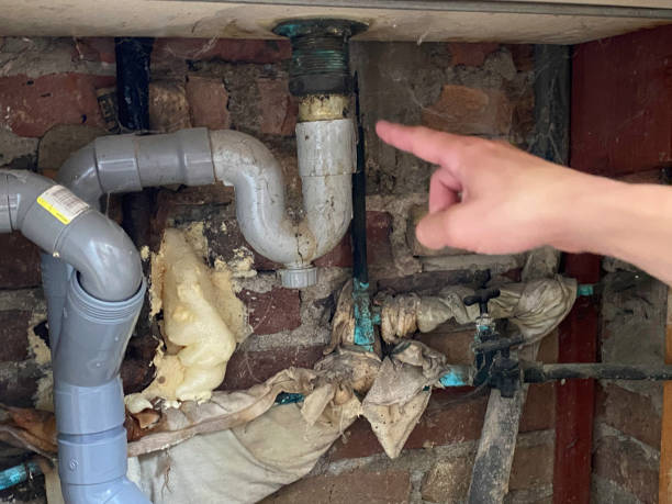 Best Commercial water damage restoration  in Christiana, TN