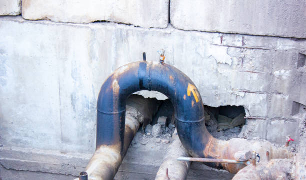 Best Water damage contractors near me  in Christiana, TN